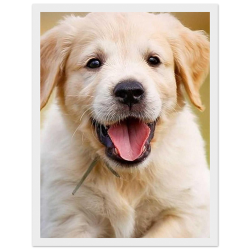 b34c05bc-798a-4f60-b054-b77589cf0fcb